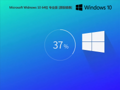  纯净系统 Windows 10 64位 专业版 22H2 微软原版镜像 