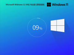  Windows 11 x64 24H2 LTSC IoT 26100.1 企业版 2024